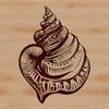 Coastal Vector Art Seashell Design A 2D vector illustration of a seashell, suitable for digital design and cutting projects.