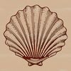 Seaside Decorative Design Element A stylized illustration of a seashell suitable for use in graphic design projects.