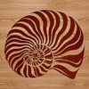 Coastal Seashell Motif A decorative vector graphic design featuring a stylized seashell motif.