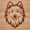 A simple line drawing of a Shetland sheepdog dog breed's head.