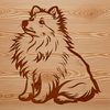 A vector illustration of a seated Shetland sheepdog, suitable for various design applications.