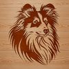 Friendly Shetland Sheepdog Portrait Illustration of a Shetland Sheepdog's head, a small breed of dog known for its friendly temperament.