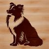 A seated Shetland sheepdog breed illustration in vector format.