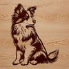 Faithful Shetland Sheepdog Illustration A Shetland sheepdog sitting on its haunches, illustrated in vector format.
