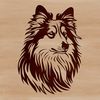 Shetland Sheepdog Portrait Art A high-quality digital illustration of a Shetland sheepdog's head, suitable for various designs and crafts.