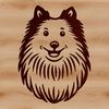 A small to medium-sized dog breed with a distinctive head shape and facial features.