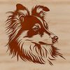 A breed-specific illustration of the Shetland Sheepdog, suitable for use as clip art in various digital projects.