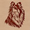 Shetland Dog Breed Silhouette with Head Turned A portrait of a Shetland sheepdog breed with its head turned slightly to the side.