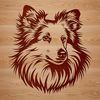 Shetland Dog Portrait Illustration A close-up illustration of a Shetland sheepdog's head, suitable for vector design.