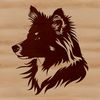 Vector Head Shot of a Shetland Dog Close-up illustration of a Shetland sheepdog's head featuring intricate details.