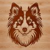 A illustration of a Shetland sheepdog's head with detailed features, suitable for vector art design.