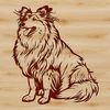Beautiful Shetland Sheepdog Breed Illustration Image of a sitting Shetland sheepdog, a popular breed of dog known for its distinctive features.
