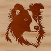 An illustration of a Shetland sheepdog's head with distinctive features.