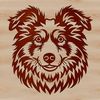 Beautiful Shetland Dog Breed Illustration A Shetland sheepdog breed portrait in high-resolution, suitable for digital design and printing applications.