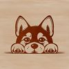 Fox-Faced Friend Peeking Out A small breed dog with a distinctive fox-like face, peeking out from behind a surface.