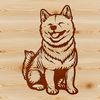 A sitting Shiba Inu dog with brown fur.