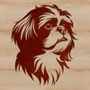 Beautiful Shih Tzu Head Portrait SVG A close-up illustration of a Shih Tzu's head, featuring the breed's distinctive features.