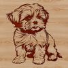 A vector illustration of a sitting Shih Tzu dog breed.
