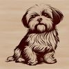 Small breed dog sitting on floor.