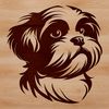 Vector Head Study of a Shih Tzu A portrait illustration of a small breed dog with a distinctive head shape.