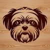 Detailed Shih Tzu Portrait A digital illustration of a small Shih Tzu dog's head with detailed facial features.