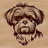 Free Vector Shih Tzu Clipart Close-up illustration of a Shih Tzu's face, highlighting its distinctive features as a popular breed.