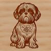 A sitting Shih Tzu dog with ornate features, suitable for use in vector design projects.