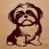 Shih Tzu Breed Portrait Close-up of a sitting Shih Tzu dog breed, suitable for vector art and clip art designs.