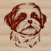 Fluffy Shih Tzu Breed Clip Art A small, fluffy dog breed with a rounded head and adorable expression, suitable as clip art for various designs.