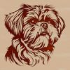 Shih Tzu Head Clip Art A close-up illustration of a Shih Tzu's head with details of its fur and facial features.