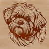 Shih Tzu Silhouette Vector Image A portrait of a friendly Shih Tzu dog with its head held high, suitable for personal or commercial use.