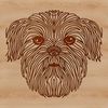 Friendly Shih Tzu Illustration A detailed illustration of a small dog breed, specifically the Shih Tzu, with a flat face and long fur.
