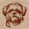 Friendly Shih Tzu Face A small dog breed with a long coat, the Shih Tzu has a distinctive head shape and expressive features.