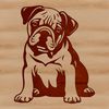 Beautiful Bulldog SVG Design A sitting bulldog illustration in vector format.