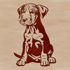 Canine Companions - Doberman Pinscher Illustration A Doberman Pinscher sitting on its haunches, depicted in vector format.