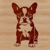 Sitting Boston Terrier Breed Dog Clip Art A portrait illustration of a cute sitting Boston Terrier breed dog.
