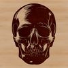 A detailed illustration of a human skull, suitable as a design element in various digital projects.