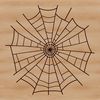 A digital illustration of a delicate spider web in vector format.