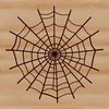 A delicate, intricate spider web pattern created as a vector design.