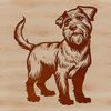 A small, fluffy dog breed with a distinctive beard.