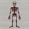 A standing skeleton illustration, created as vector art, suitable for cutting machines like Cricut and laser cutters.