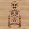 Detailed Standing Skeleton Illustration A detailed illustration of a standing skeleton, suitable for various designs and crafts.