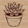 Fleshy Leaf Silhouette Succulent plant with thick, fleshy leaves in a desert landscape.