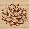 Cactus Garden Illustration Vector illustration of a desert succulent plant with thick fleshy leaves.