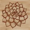 Beautiful Succulent Plant Illustration A detailed vector drawing of a desert plant with rounded stems and spiky foliage.