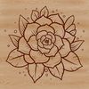 An SVG vector graphic design featuring a single desert succulent with intricate details and texture.
