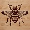 A colorful illustration of a bee on a flower, created as a vector graphic.