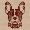 Close-Up Head Shot of a Terrier Breed A close-up illustration of a Boston Terrier's head with ornate details.