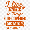 Colorful Cat Illustration Quote A colorful cat-themed quote illustration featuring playful typography.