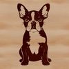 Happy Boston Terrier Illustration A cartoon illustration of a Boston Terrier sitting on its haunches.